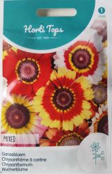 Chrysanthemum Mix Seed
